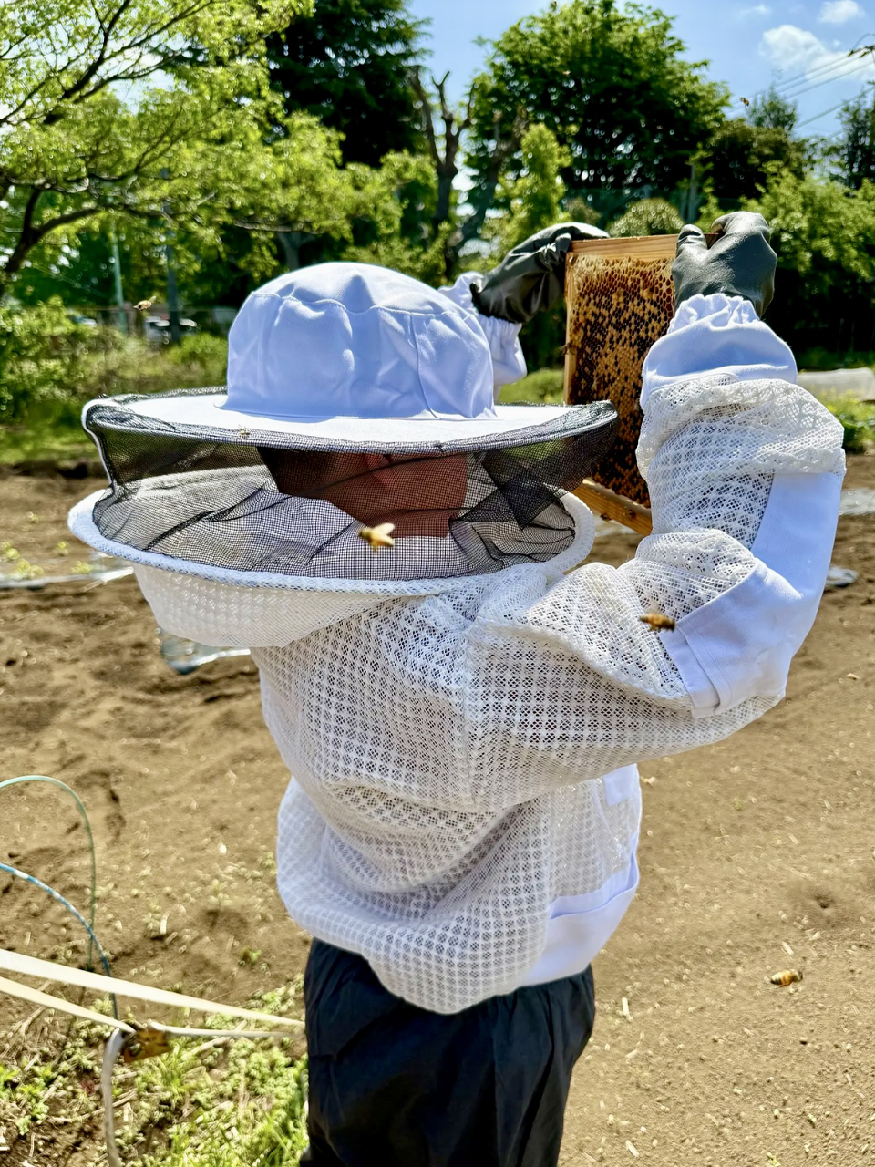 小原 福斗さんの写真